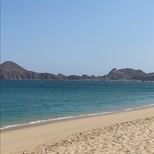 Meet your Posher, Tawna